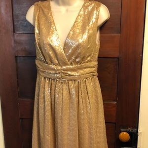 Eva Mendes sparkly dress